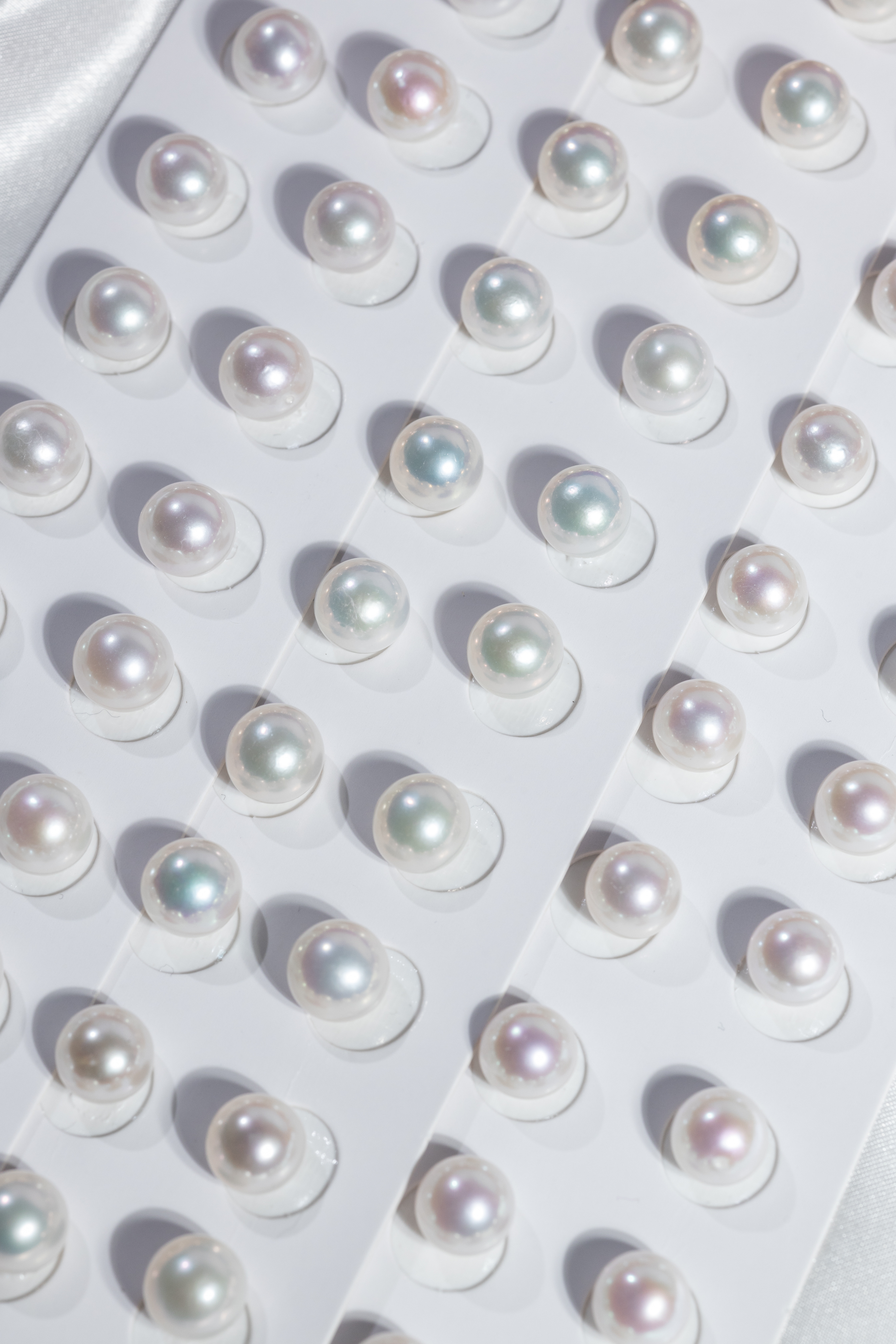 Pearls Ear ring 10~11mm