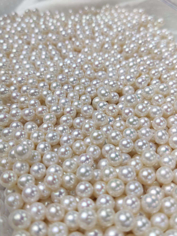 Loose White Pearl 6~6.5mm