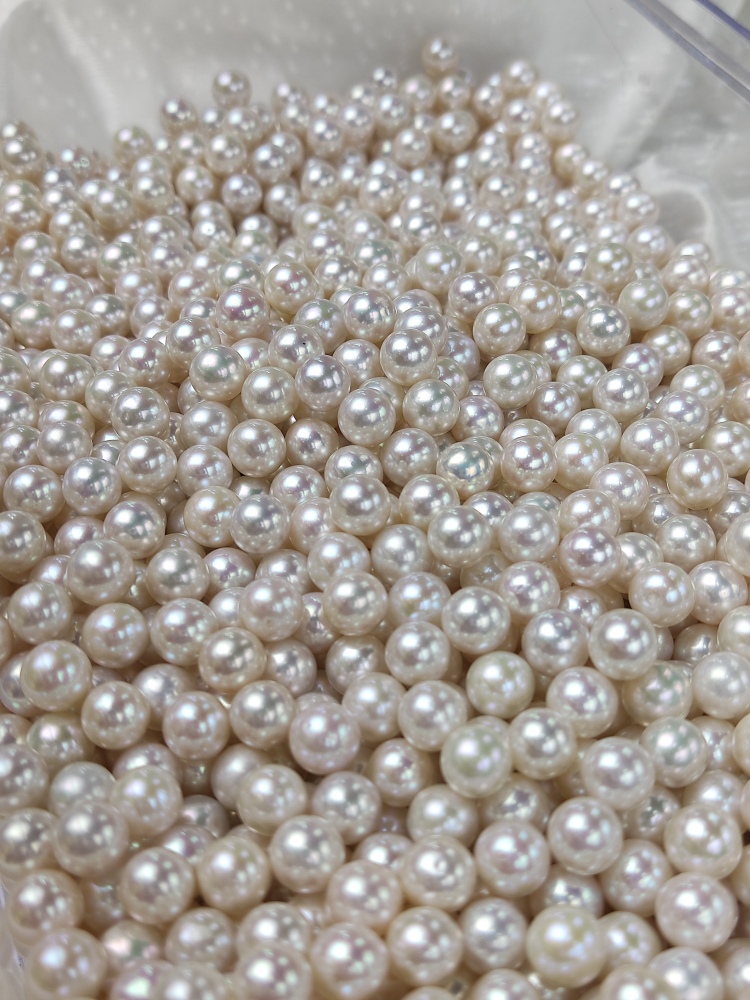 Loose White Pearl 7.5~8mm