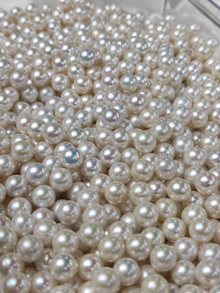 Loose White Pearl 8~8.5mm