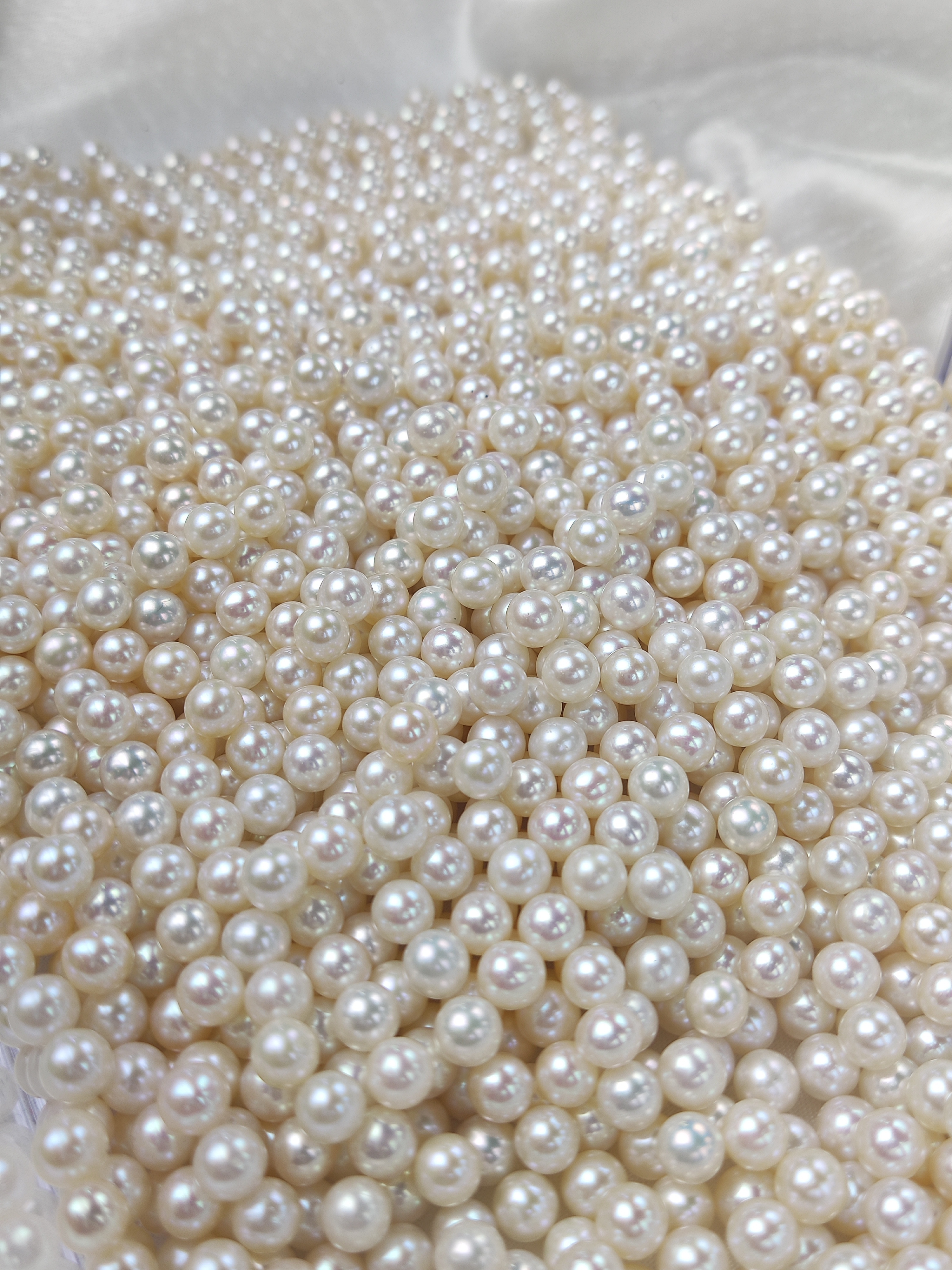 Loose White Pearl 5.5~6mm