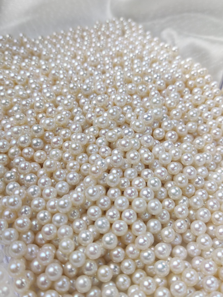 Loose White Pearl 5.5~6mm