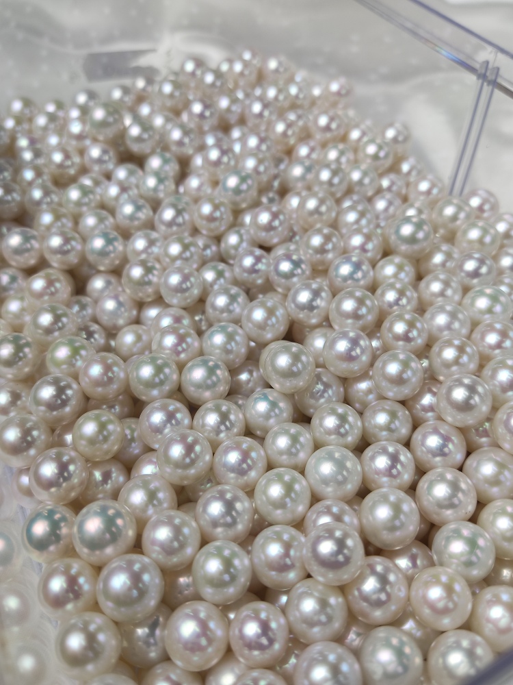 Loose White Pearl 10~11mm