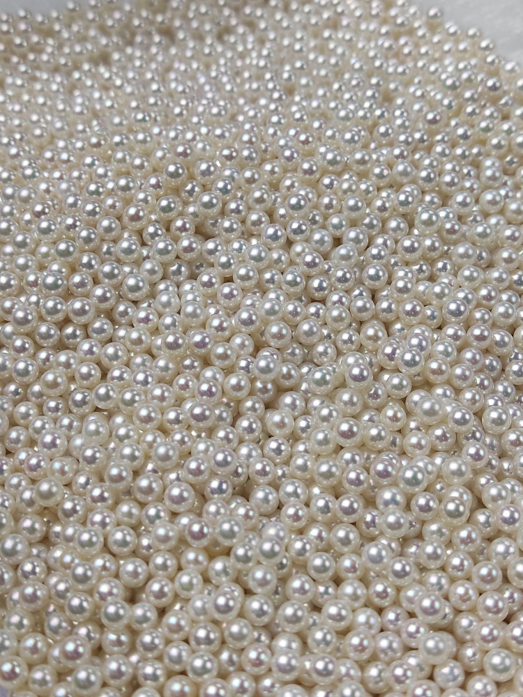 Loose White Pearl 4~4.5mm