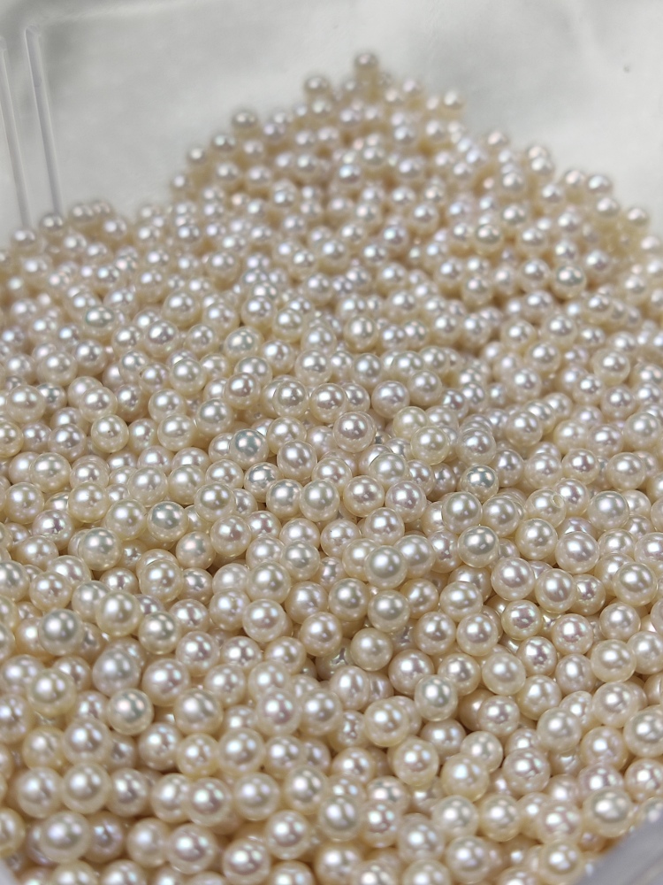 Loose White Pearl 3~3.5mm