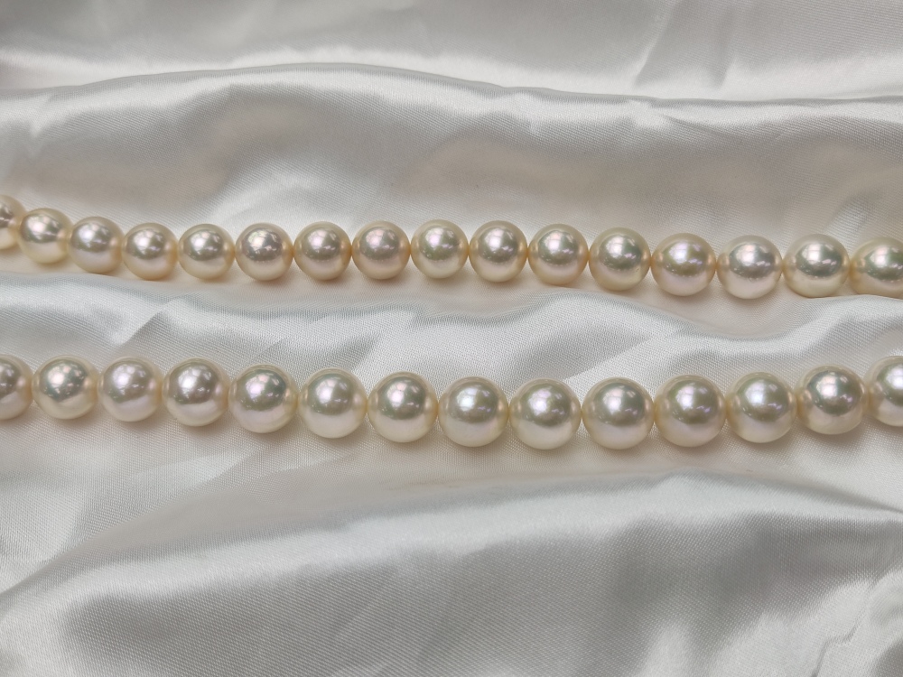 Pearl necklace 10~12mm