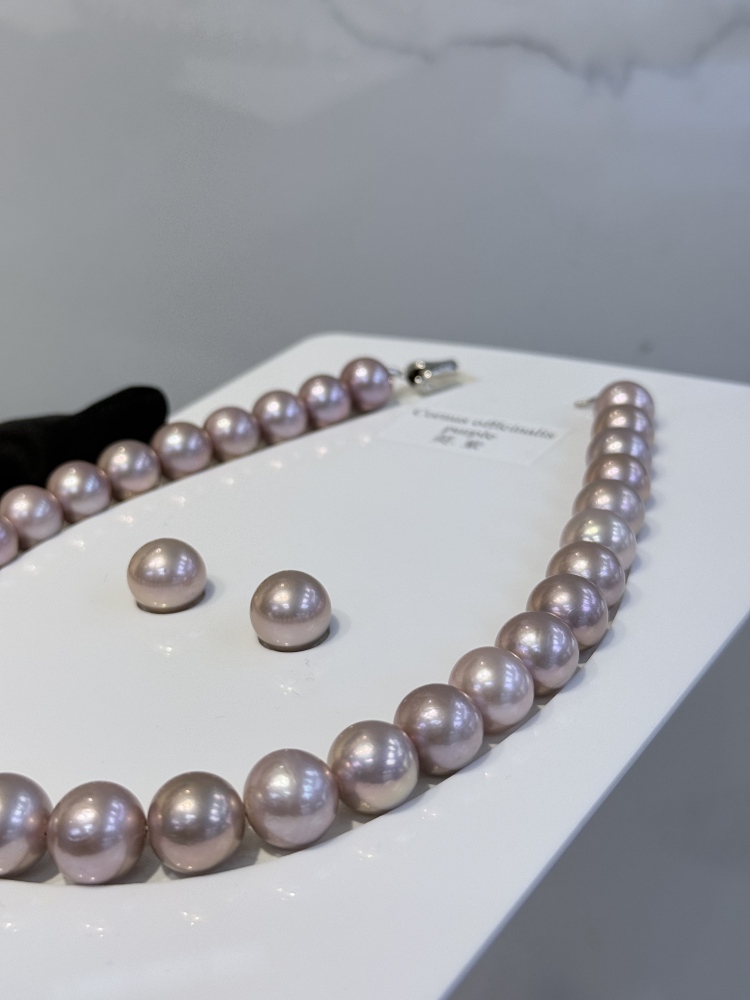 5A Natural Purple Pearl Strand 13~14mm