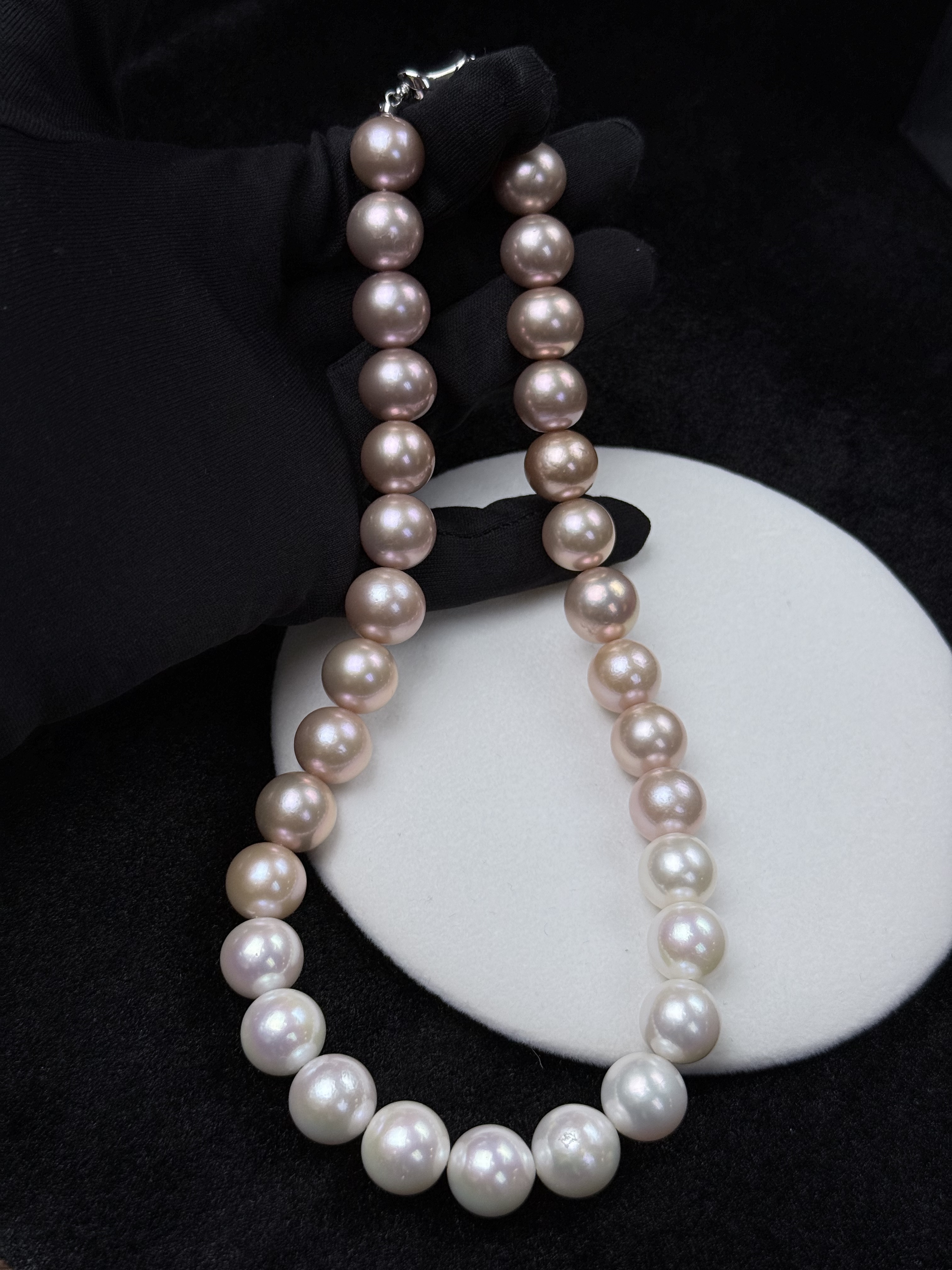 5A Gradient color Purple Freshwater Pearl strand 13~14mm