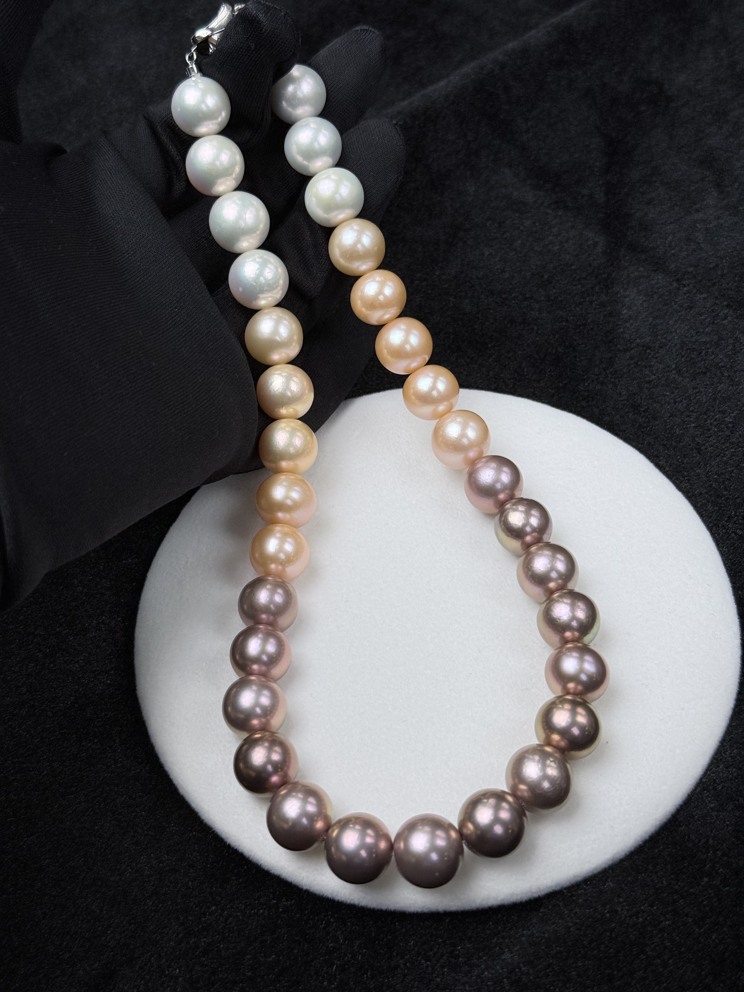 5A Gradient color Purple Freshwater Pearl strand 13~14mm