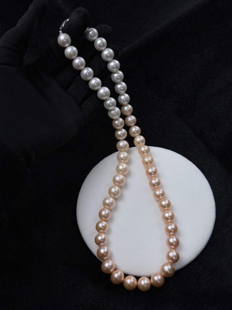 5A Gradient color Natural Freshwater Pearl strand 12~13mm