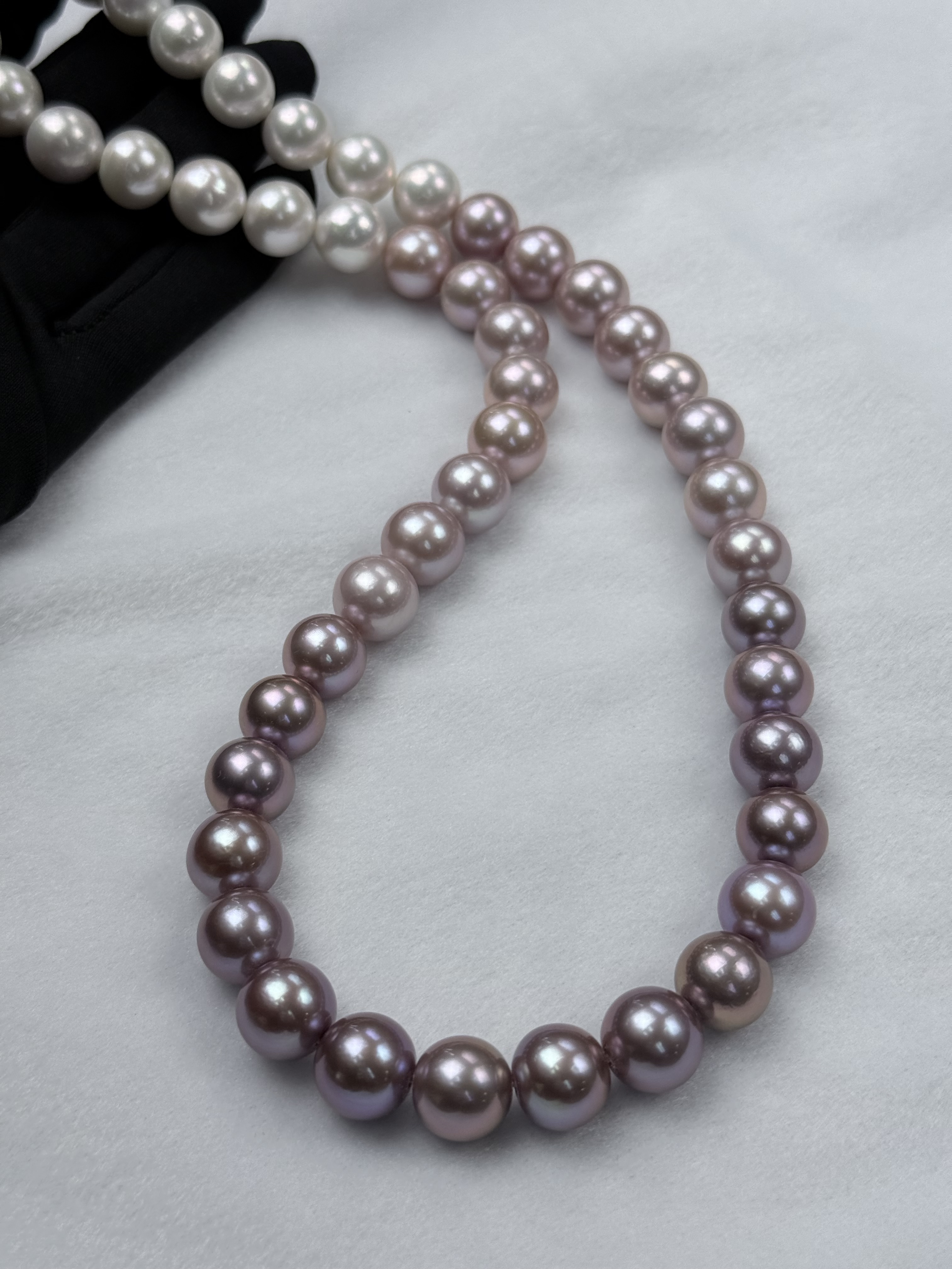 5A Gradient color Purple Freshwater Pearl strand 12~13mm
