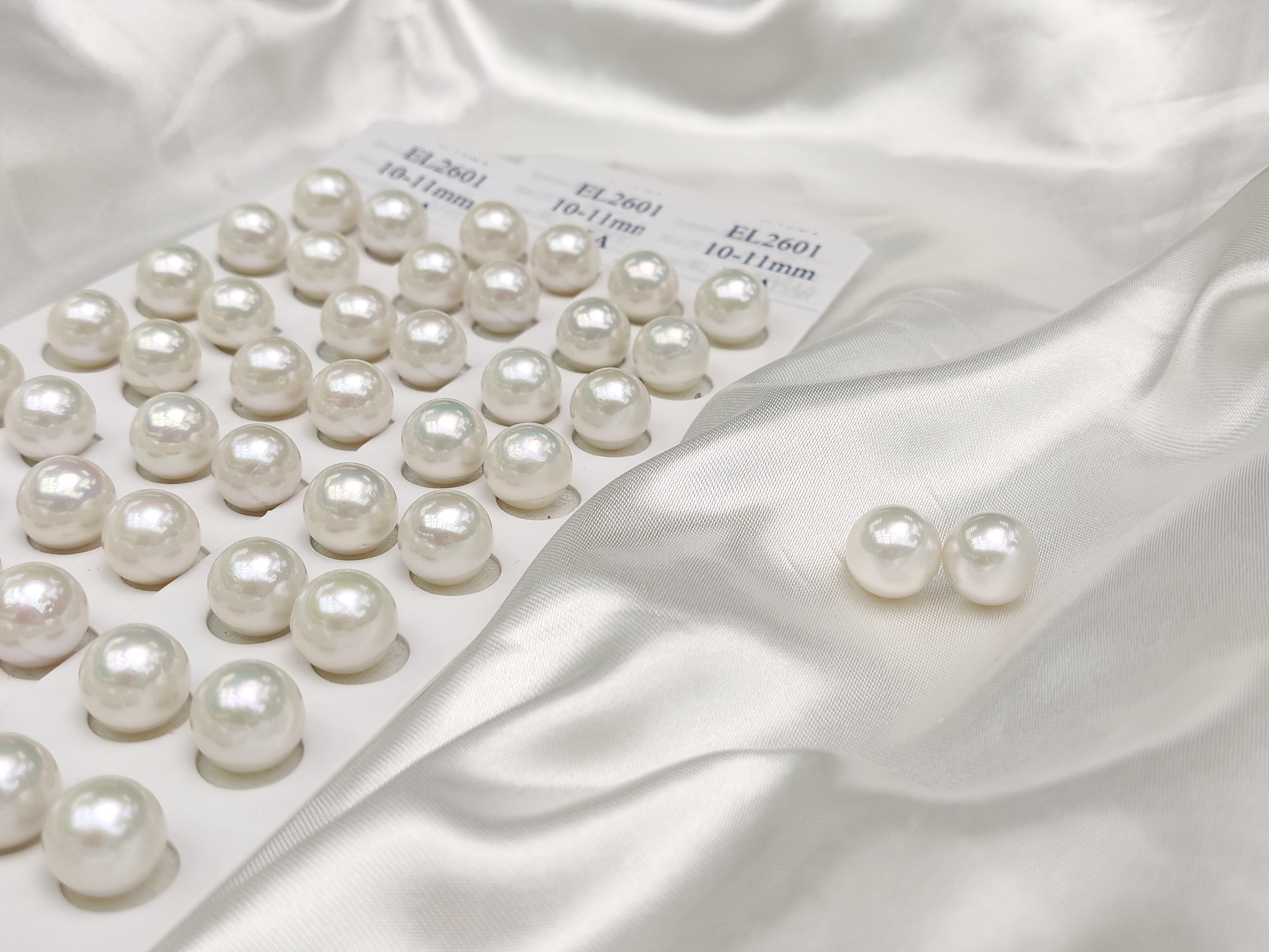 Pearls Ear ring 10~11mm