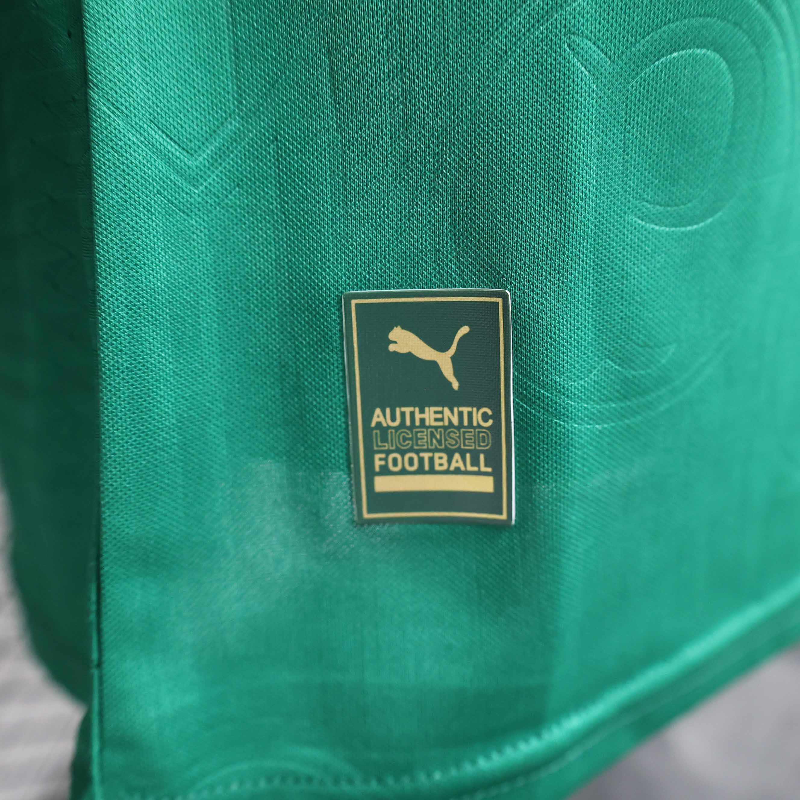 24-25 Palmeiras Home Kit Player Version Shirt Best Jerseys