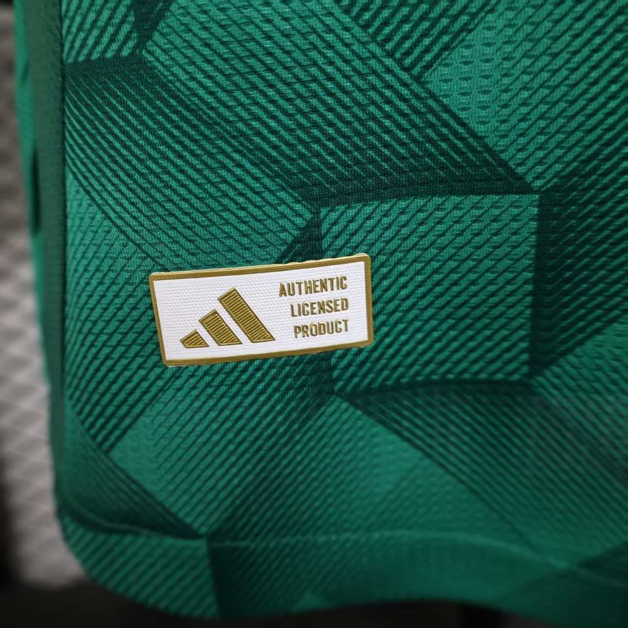 Saudi Arabia 25-26 World Cup Home green Football jersey Player version