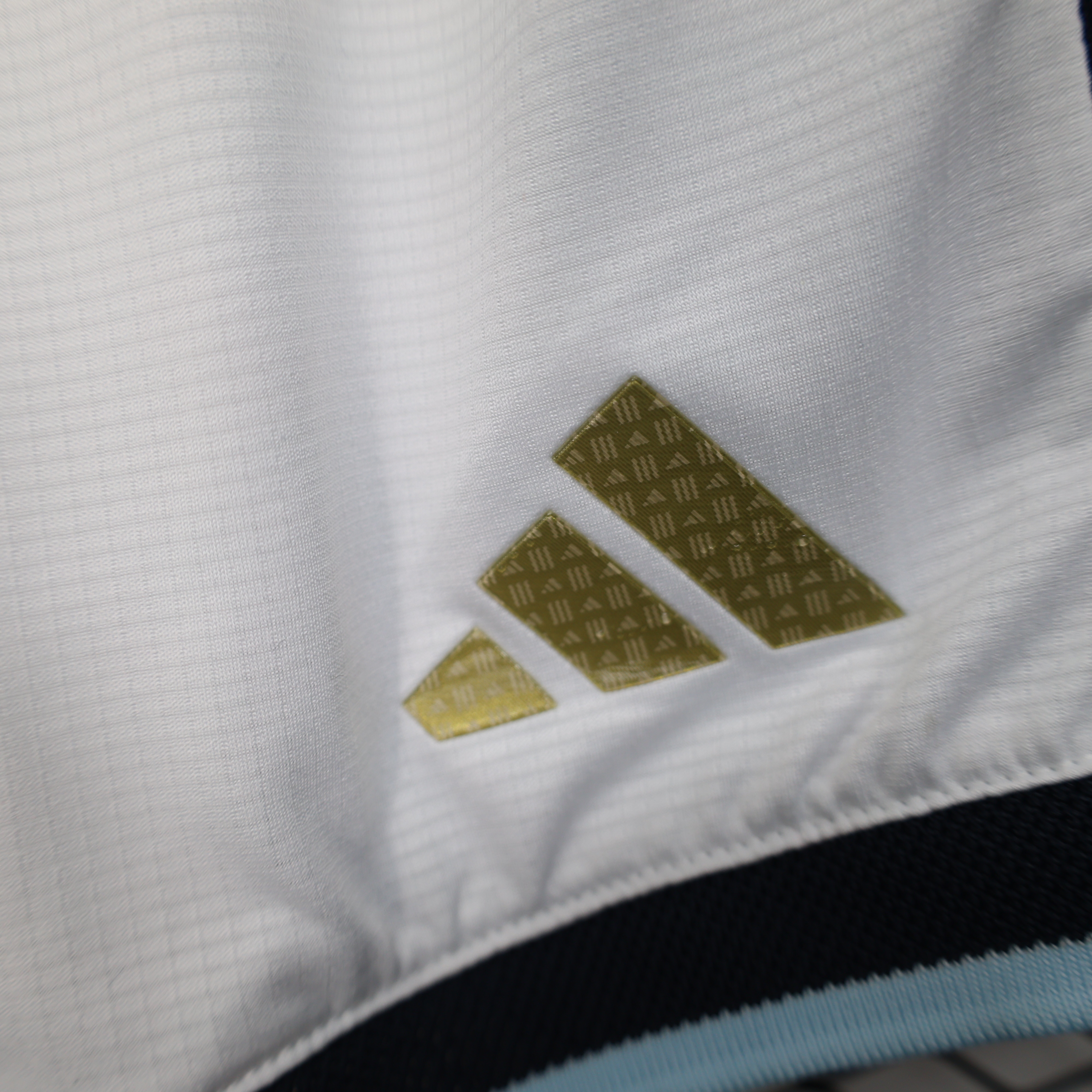 2026 Argentina World Cup Home Soccer shorts Fan/Player version