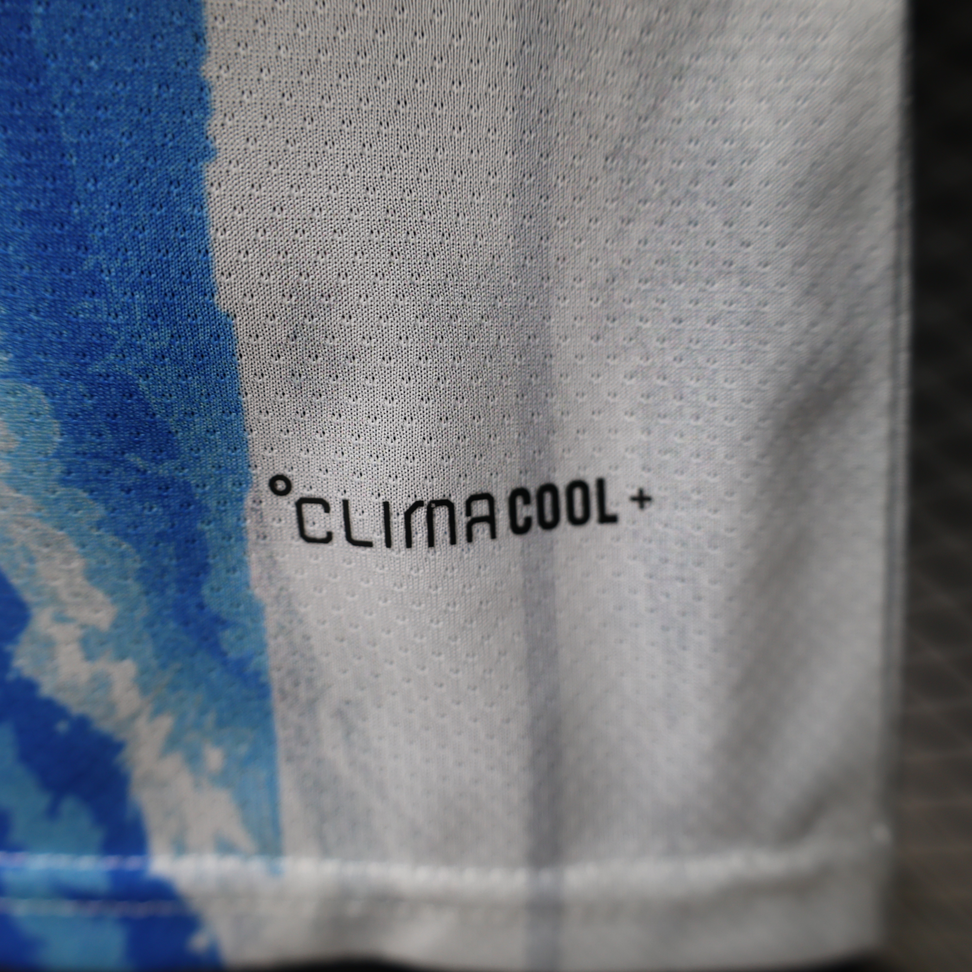 2026 World Cup Argentina Special Edition Football Shirt Player Edition