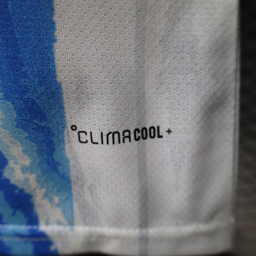 2026 World Cup Argentina Special Edition Football Shirt Player Edition