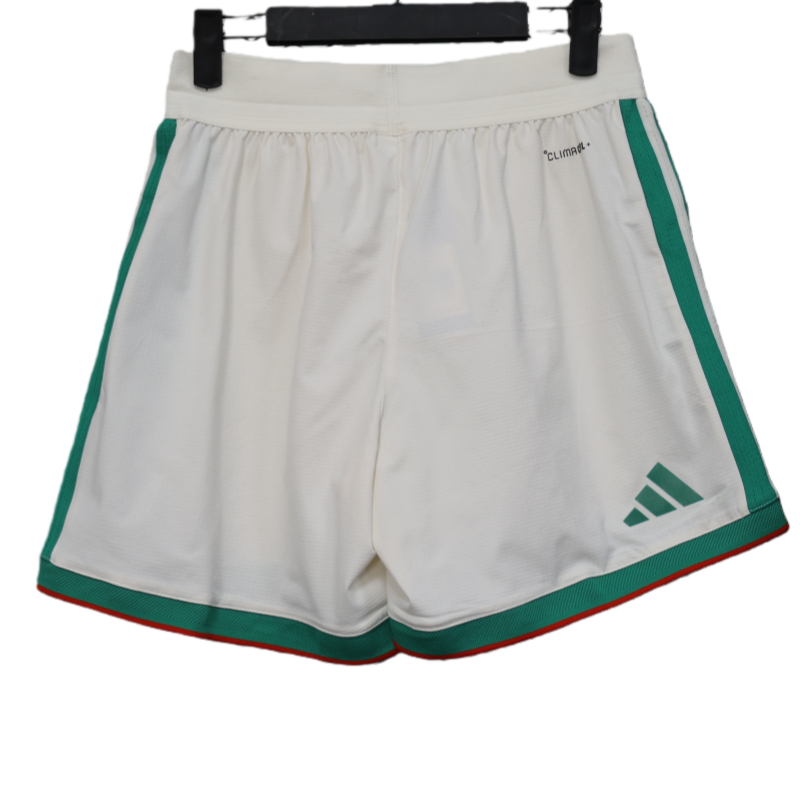 2026 Algeria World Cup Home Soccer shorts Fan/Player version