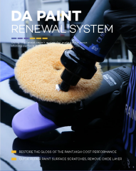 SRB DA Paint Renewal System