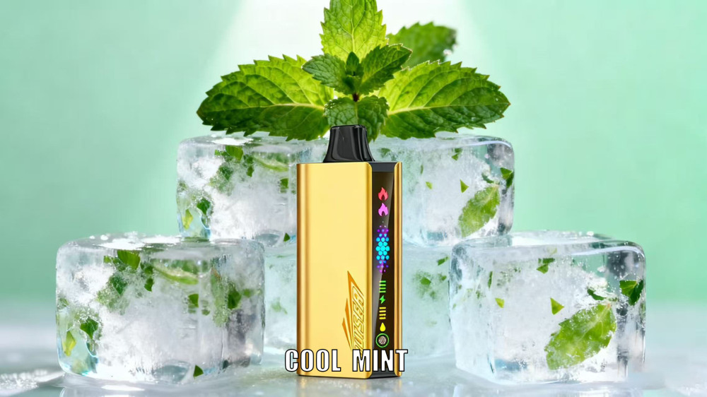 NEW ARRIVAL SPECIAL  JNR CRUISER 12,000 Puff Disposable Vape– Local Stock   Fast AUS Shipping