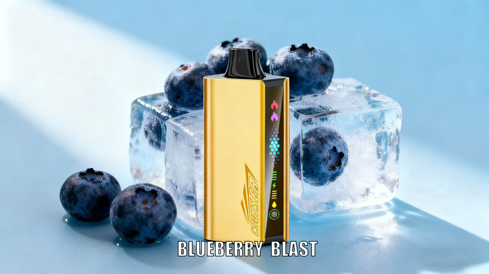 NEW ARRIVAL SPECIAL  JNR CRUISER 12,000 Puff Disposable Vape– Local Stock   Fast AUS Shipping
