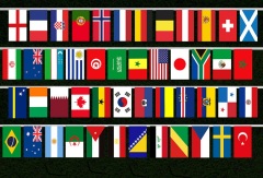 Tour Guide Flag,MY SHOP,Tour Guide Flag