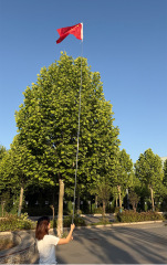 Higher visibility for outdoor guide flags and event flags