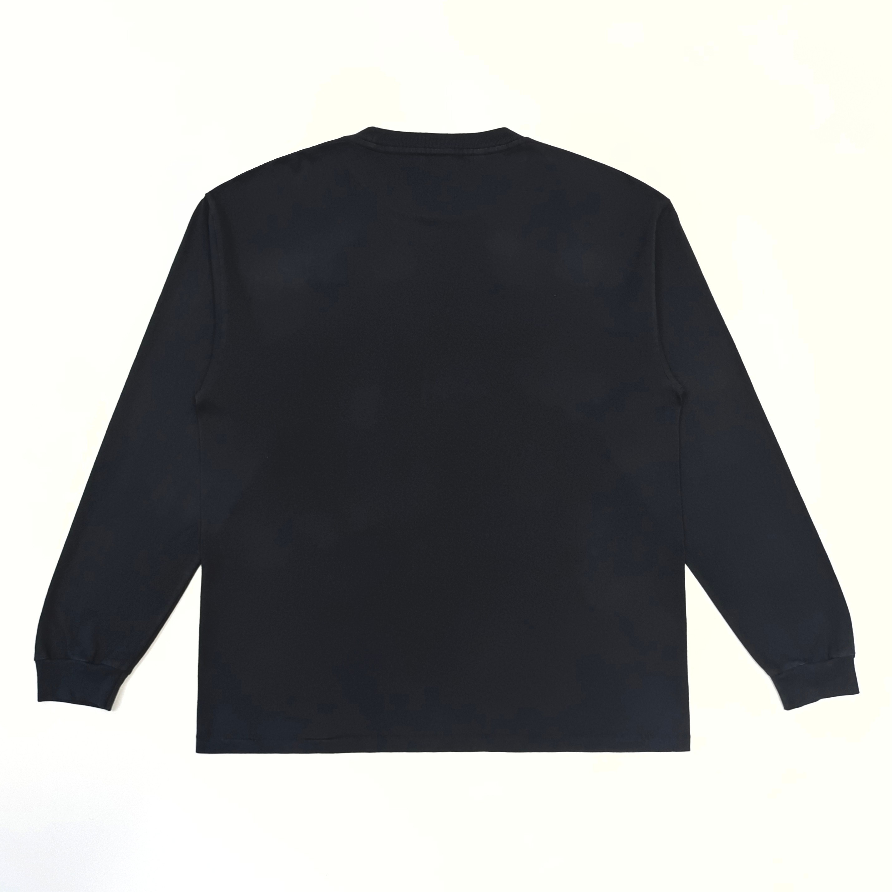 GD Dept De La Galerie / French Logo L/S Tee Washed Black #B4520