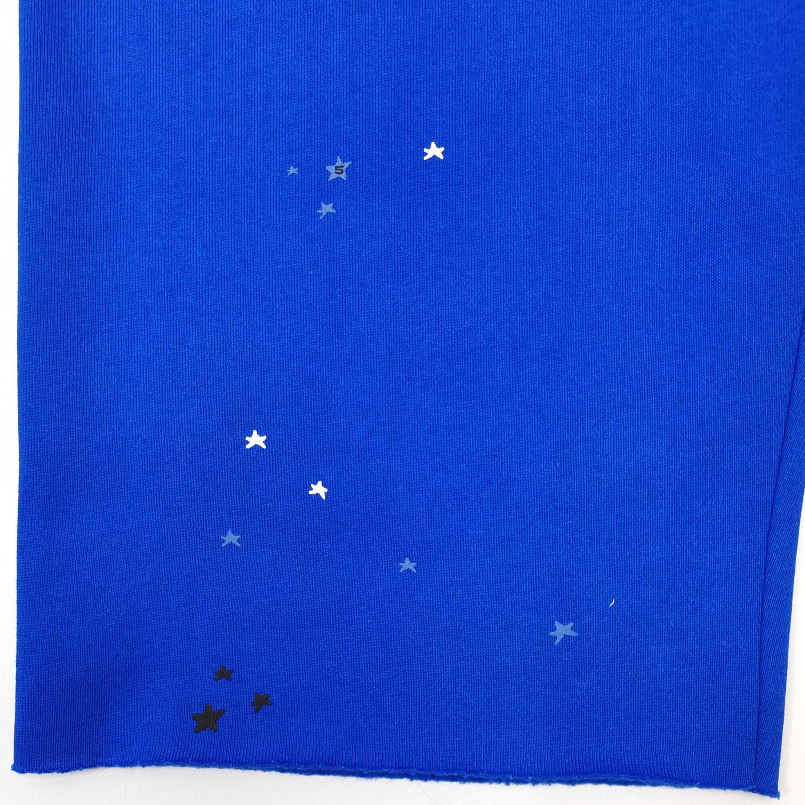 Sp5der Heavy Web Long Sweatshort Tory Blue #B4549-SP