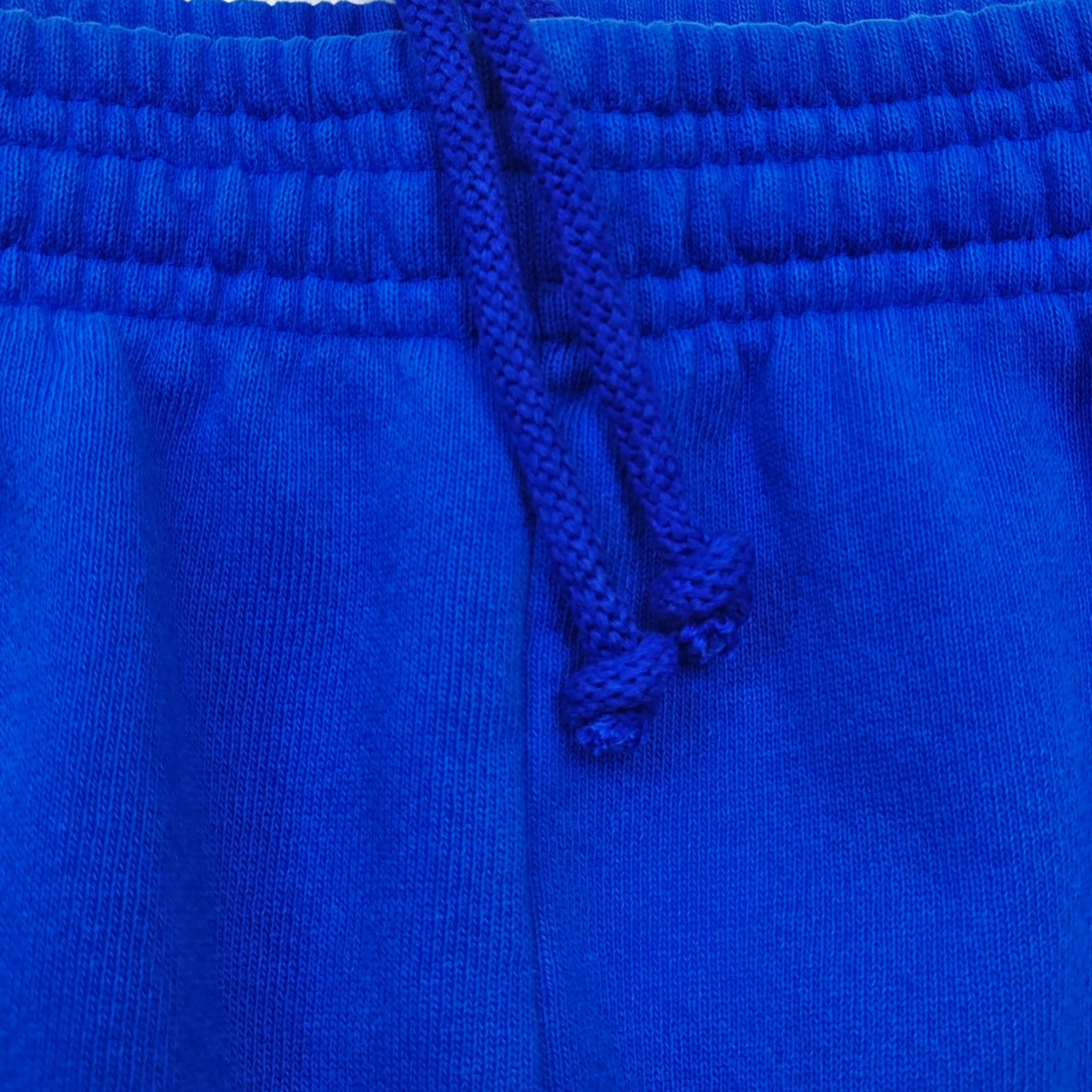 Sp5der OG Web V2 Away Sweatpant Blue / White #B4588-SP