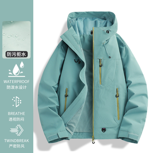 Chinese kale grey regular [single layer]]