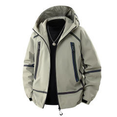 salt gray green