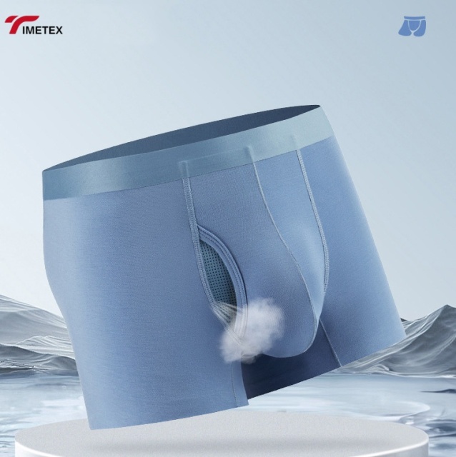 TIMETEX Male Pouch Underwear Breathable Modal Fsric Mens 3D Underwear for Men with Ball Pouch