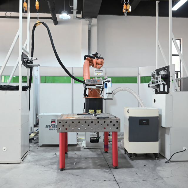 Automated Laser Coding Machine,MY SHOP,Automated Laser Coding Machine