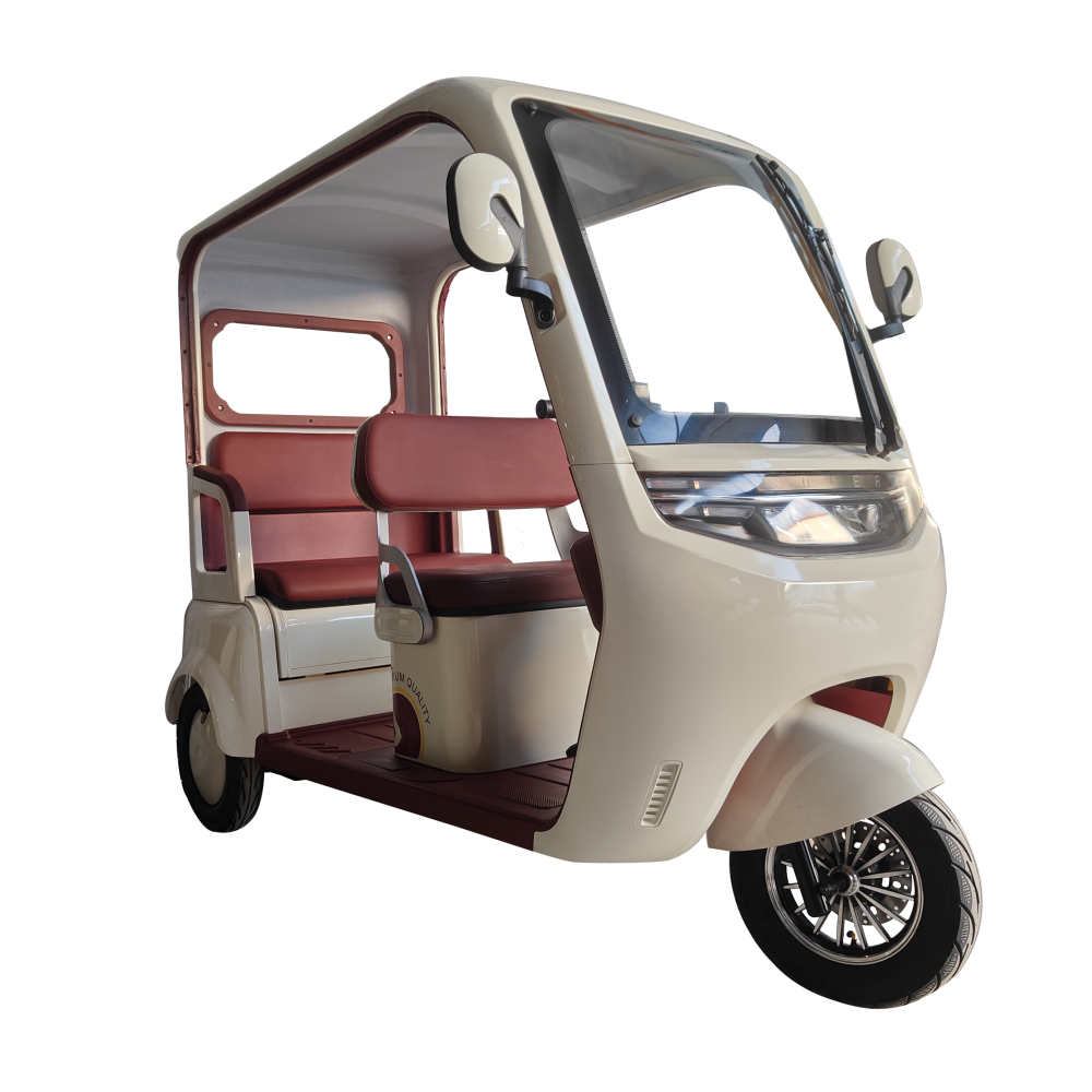 Big size Folder electric tricycle with carbin cover 2000W 25KM/H speed, 50km range