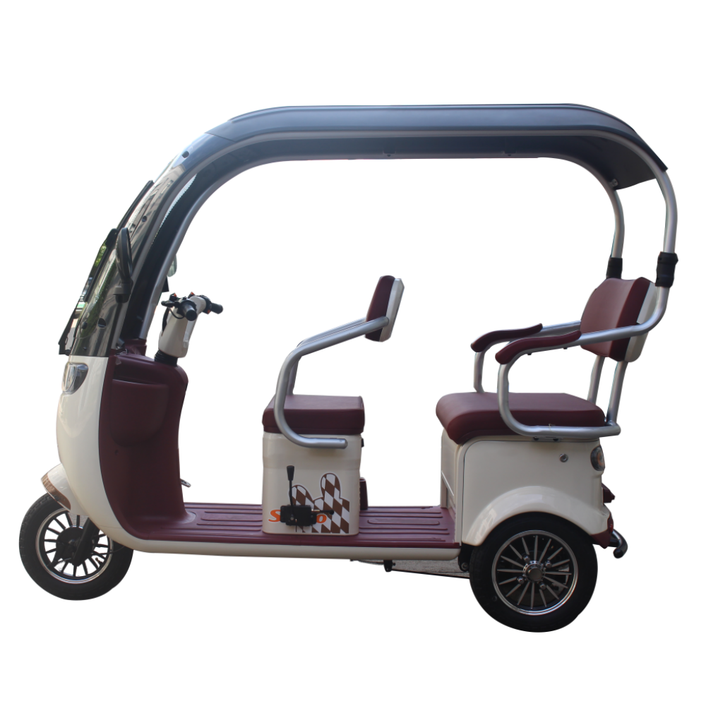 Folder electric tricycle with carbin cover 1000W 25KM/H speed, 50km range