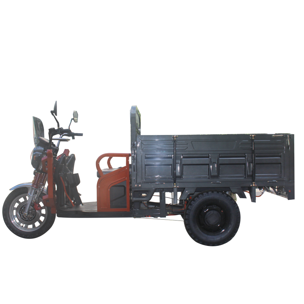 cheap electric tricycle tuktuk cargo express huge fat tyres big size