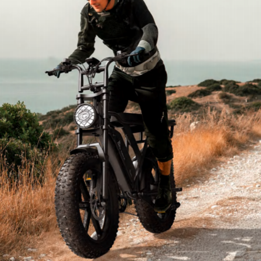 48V 20" Vintage Off-road E-bike  bigger motor for faster speed 1200W
