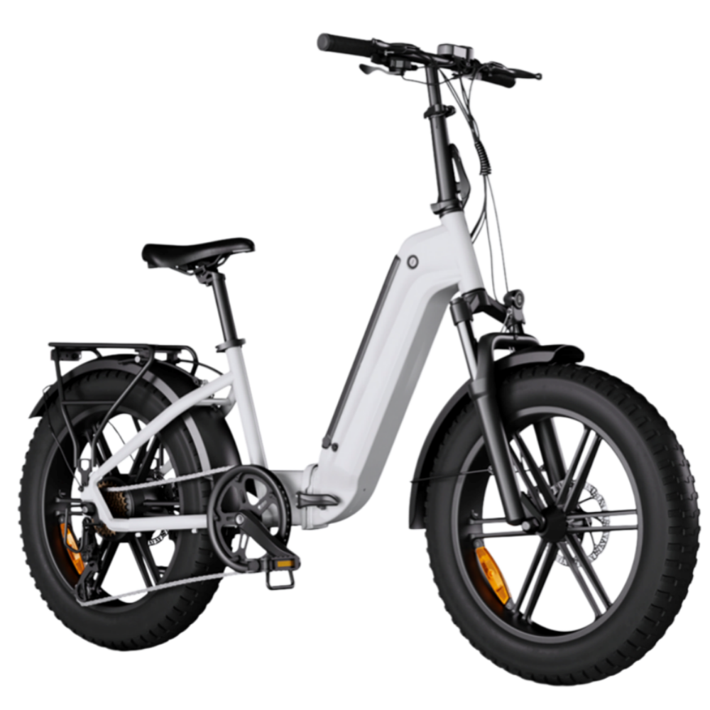 48V 20" Foldable Fat Tire  E-bike with Fashion Desgin 1200W