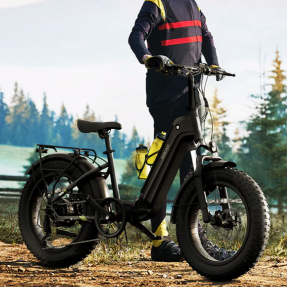 48V 20" Foldable Fat Tire  E-bike with Fashion Desgin 1200W
