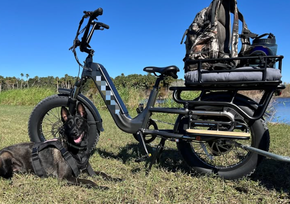 48V 20" Fat Tire Longtail Cargo  E-bike with Aluminum Frame kids care camping