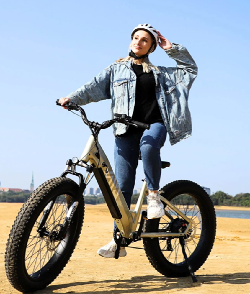 48V 26" Fat Tire Off-road E-bike Fashion Desgin 1200W