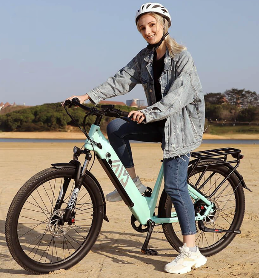 48V 27.5" Mountain E-bike 750W long range big size wheel tyres Male Female diffrent style
