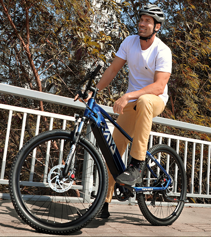 48V 27.5" Mountain E-bike 750W long range big size wheel tyres Male Female diffrent style