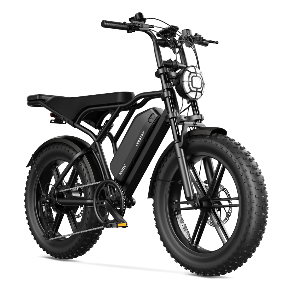 48V 20" Vintage Off-road E-bike  bigger motor for faster speed 1200W