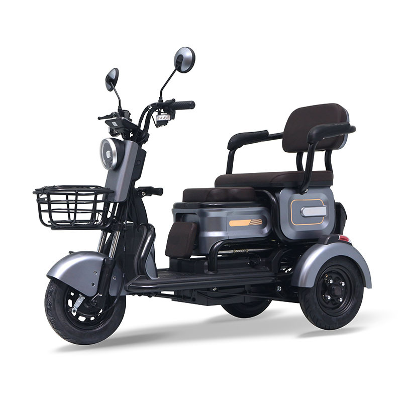 Electric Tricycle Foldable Passenger Trike