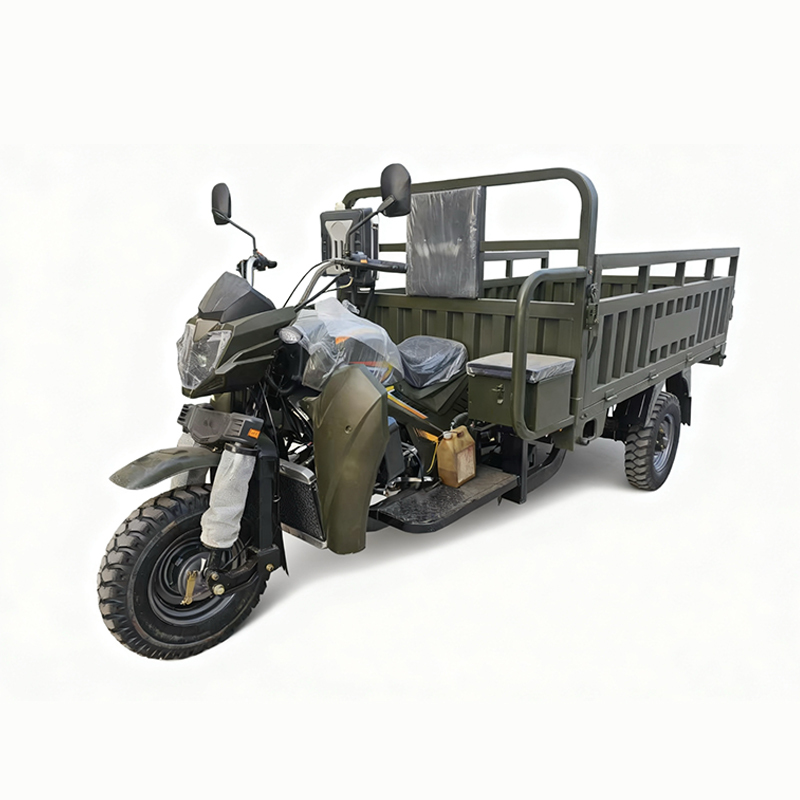 3-Wheel Cargo Tricycle for Reliable Short-Distance Heavy Duty All Terrain Safe Stable Delivery Cargo Tricycle