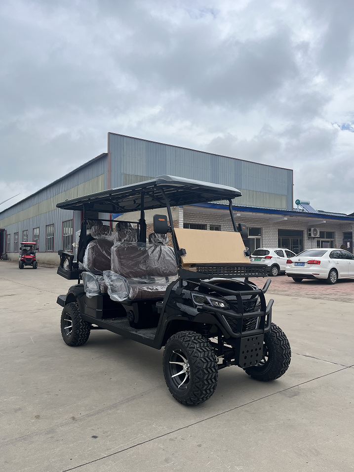 WELIFTRICH 2+4 4 6 Seats 6 Seater Lifted 14 Inches Big off Road Tires Street Legal 72V Lithium Battery Electric Push Golf Cart