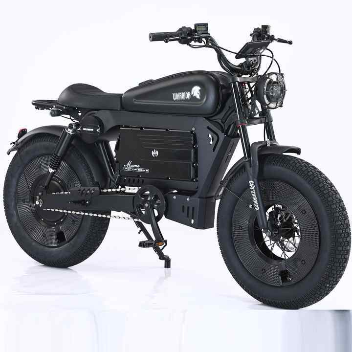 HCBK-SS10 3000W for US / 250W for EU  Full Suspension Black Warrior Ebike Fat Tire 20 Inch Electric Bicycle