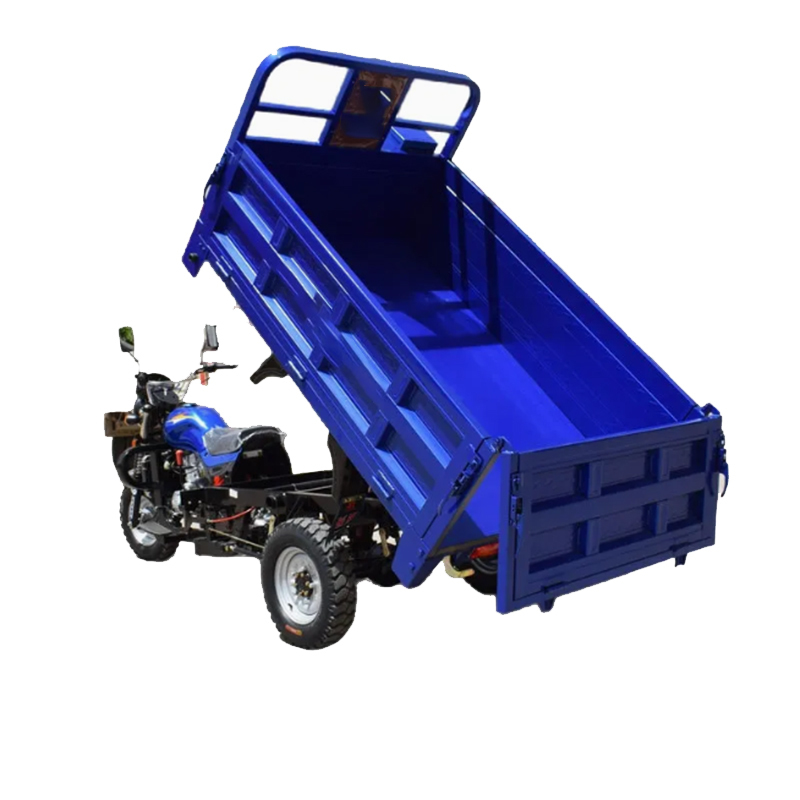 3-Wheel Cargo Tricycle for Reliable Short-Distance Heavy Duty All Terrain Safe Stable Delivery Cargo Tricycle